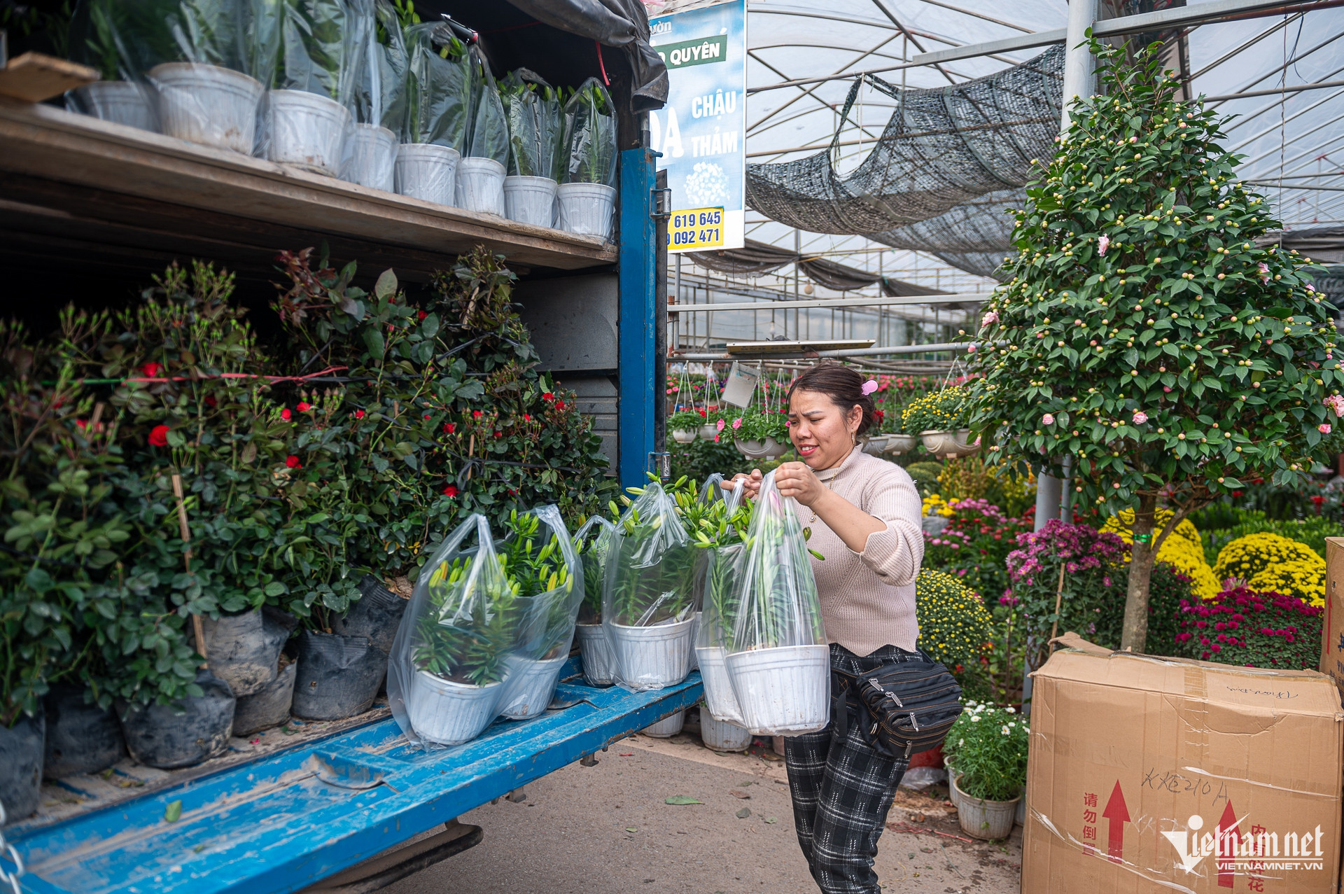 W-Chợ_Hoa_tết (38 of 40).jpg