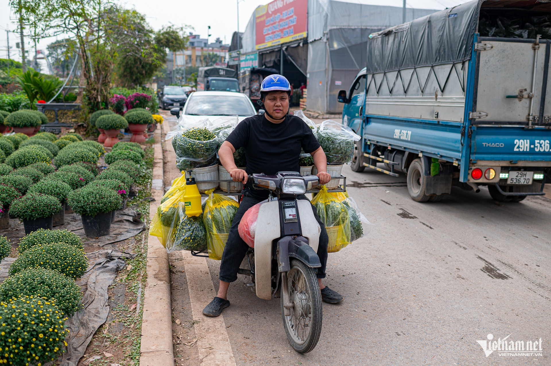 W-Chợ_Hoa_tết (8 of 40).jpg