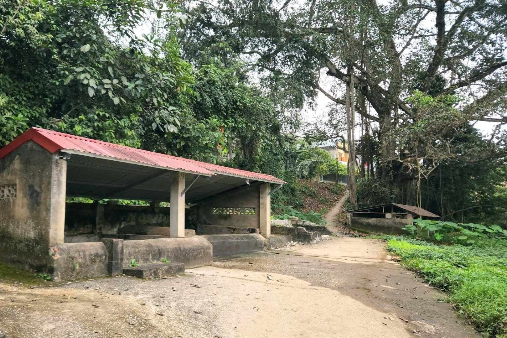 Cả làng ở Thanh Hóa bảo vệ giếng cổ, Tết đến lại ra lấy nước cầu may