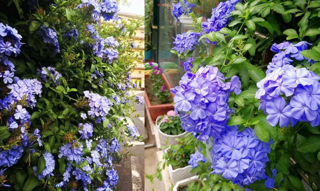 Hình 2 2026 02 03T164730.232.png