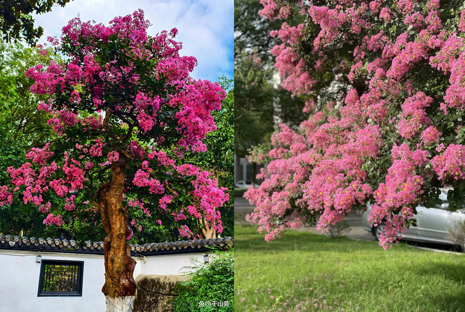 Hình 2 2026 02 04T191618.071.png