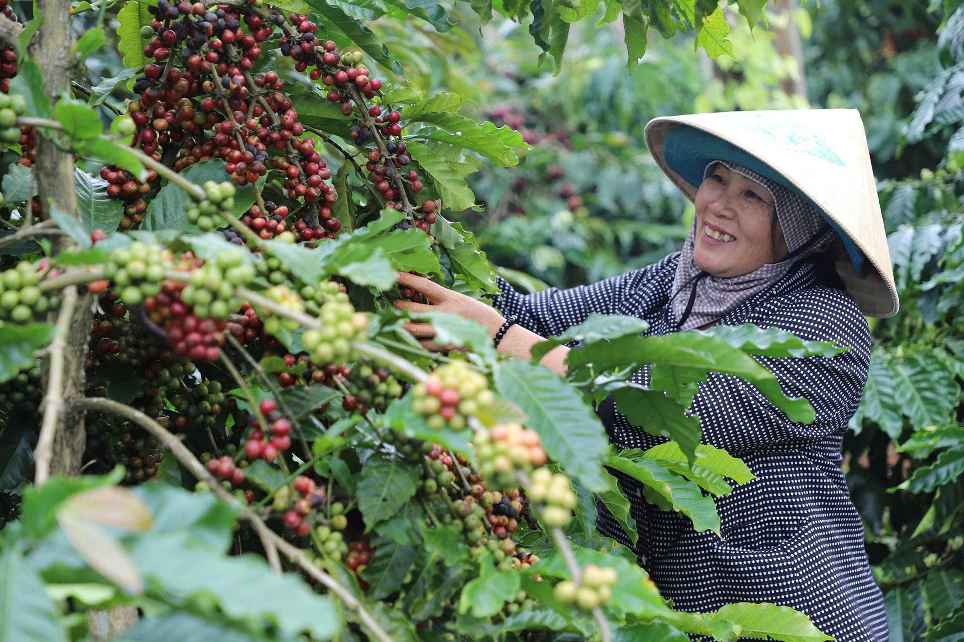 Làng “tỷ phú” giữa lòng cao nguyên