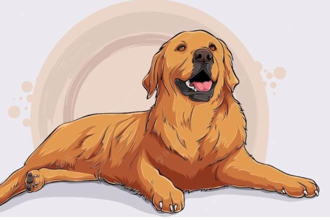 Tử vi tuổi Tuất năm 2026: Thành công và may mắn trên mọi phương diện