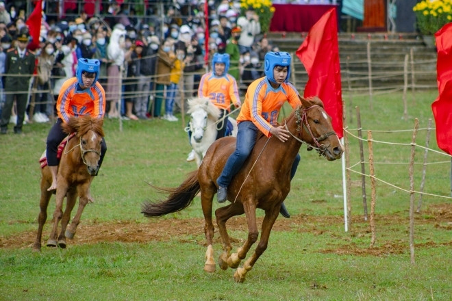 Vó ngựa mùa xuân ở gò Thì Thùng