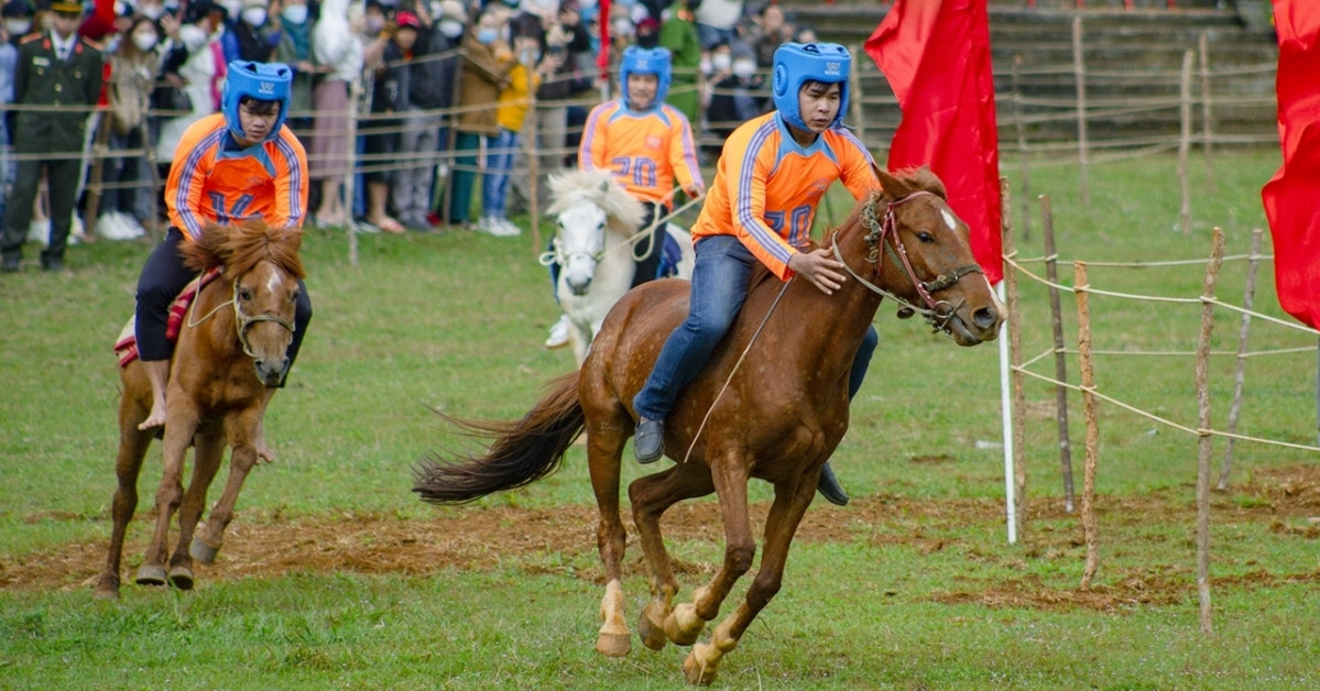 Vó ngựa mùa xuân ở gò Thì Thùng