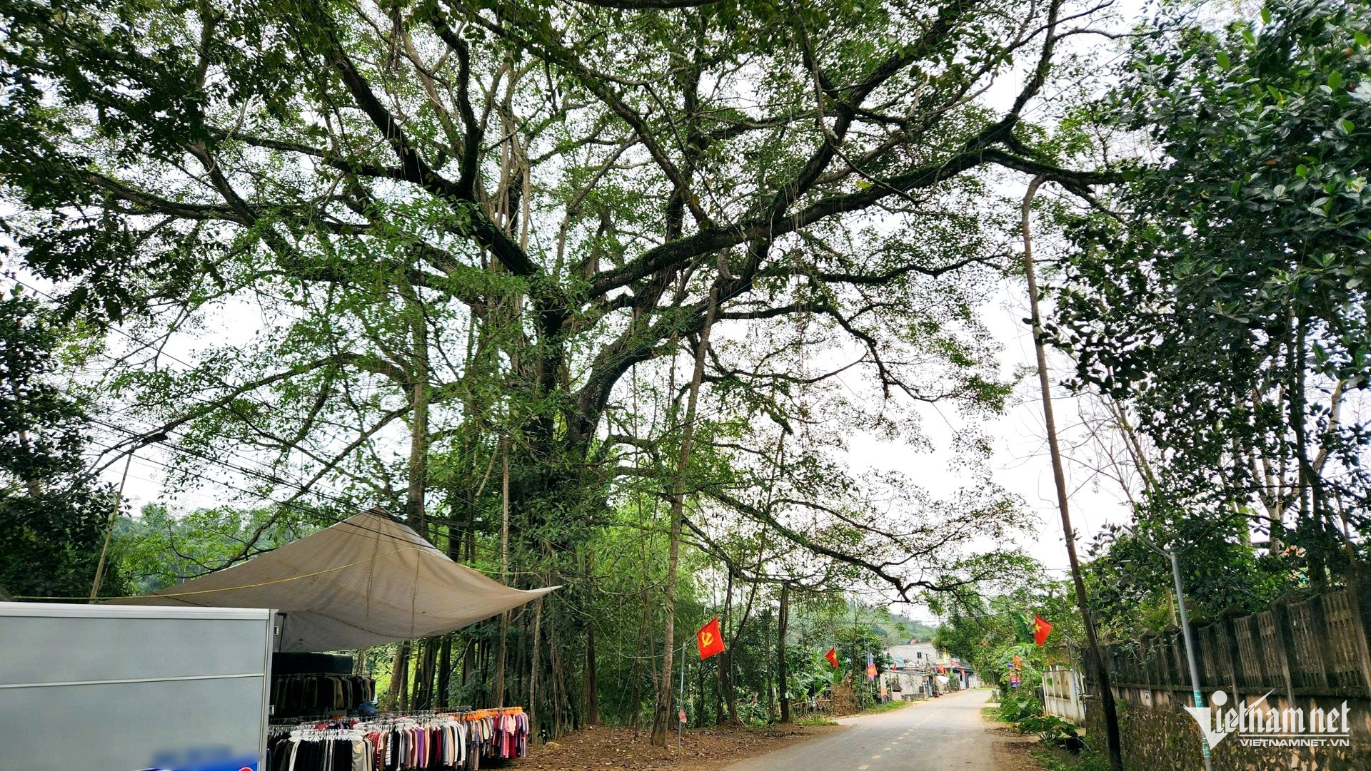 W-a1Cả làng bảo vệ giếng cổ.jpg