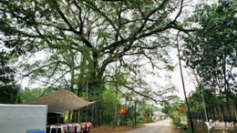 W-a1Cả làng bảo vệ giếng cổ.jpg