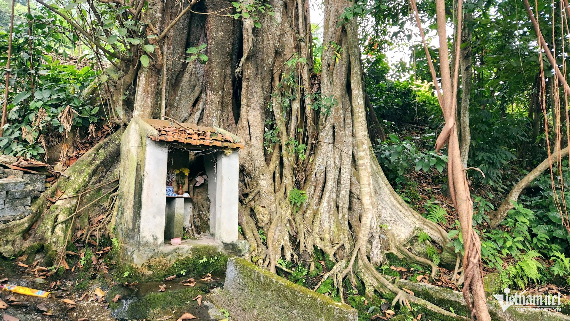 W-a6Cả làng bảo vệ giếng cổ.jpg