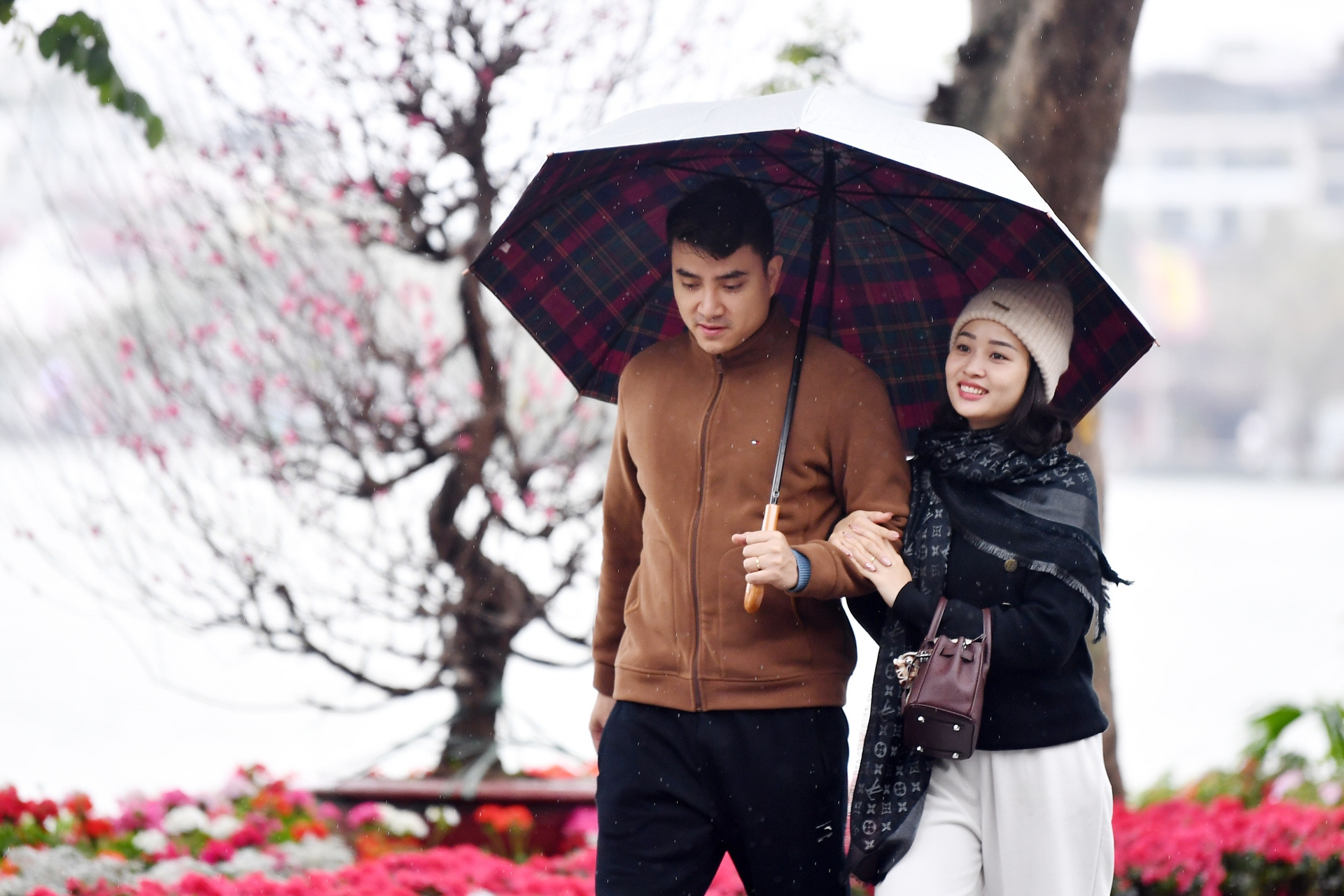 Dự báo thời tiết 22/2/2026: Miền Bắc có mưa, sương mù, lạnh kéo dài