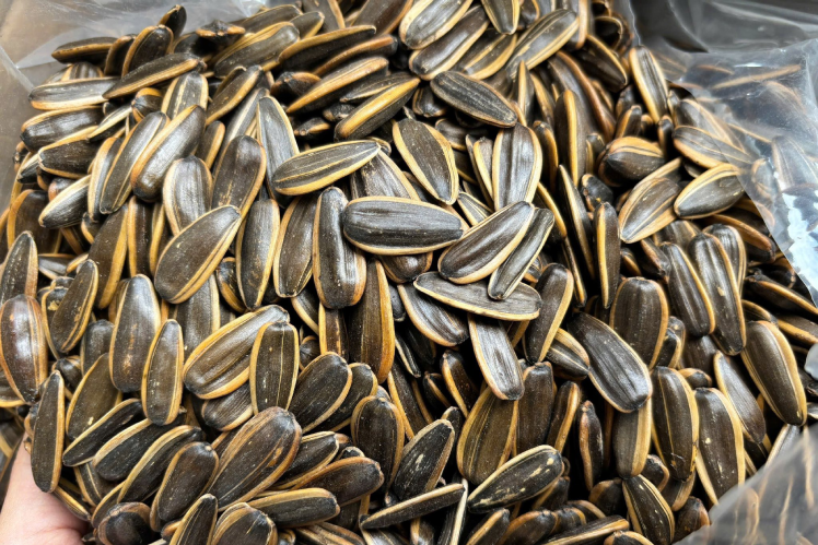 4 tác hại của hạt hướng dương