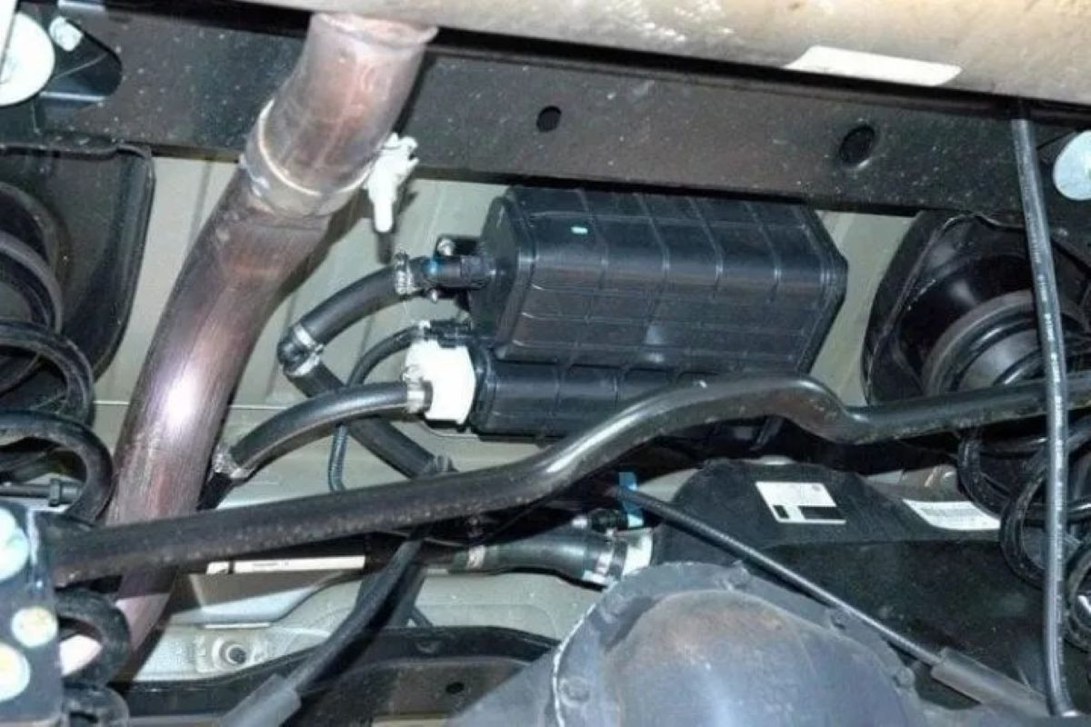 binh dung than hoat tinh.jpg