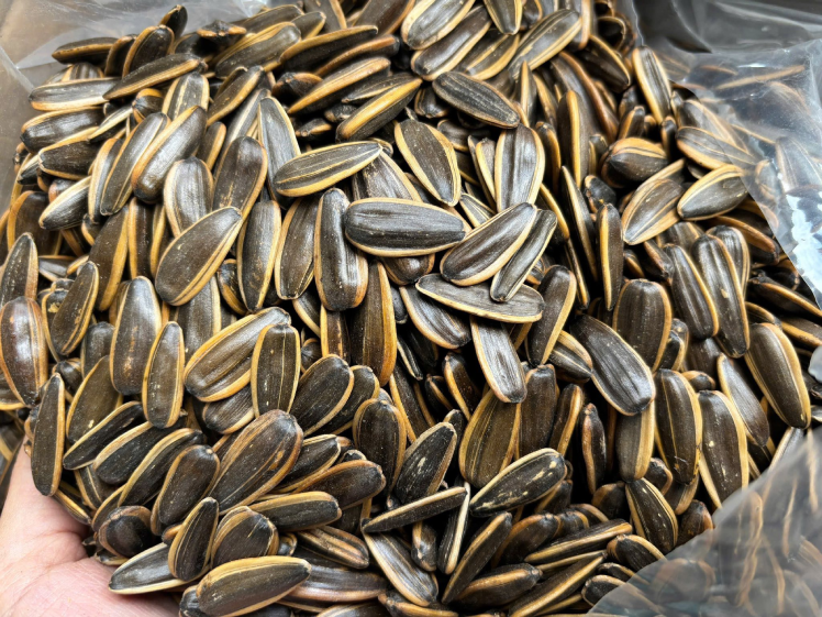 hạt hướng dương.png