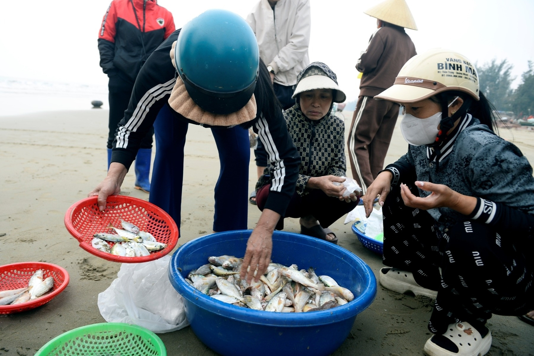 Loài cá thân mềm giá tới 1 triệu đồng/kg 'cháy hàng'