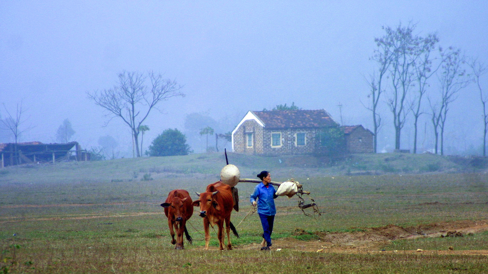 nguyên quánLê Anh Dũng.jpg
