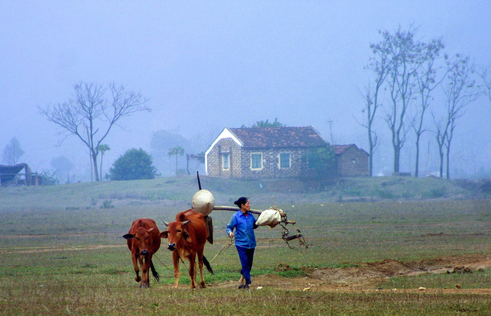 Nhớ về nguyên quán