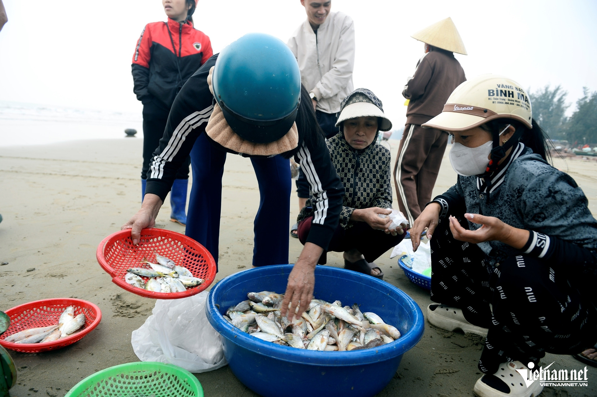 W-a2Cá khoai khan hiếm.JPG.jpg