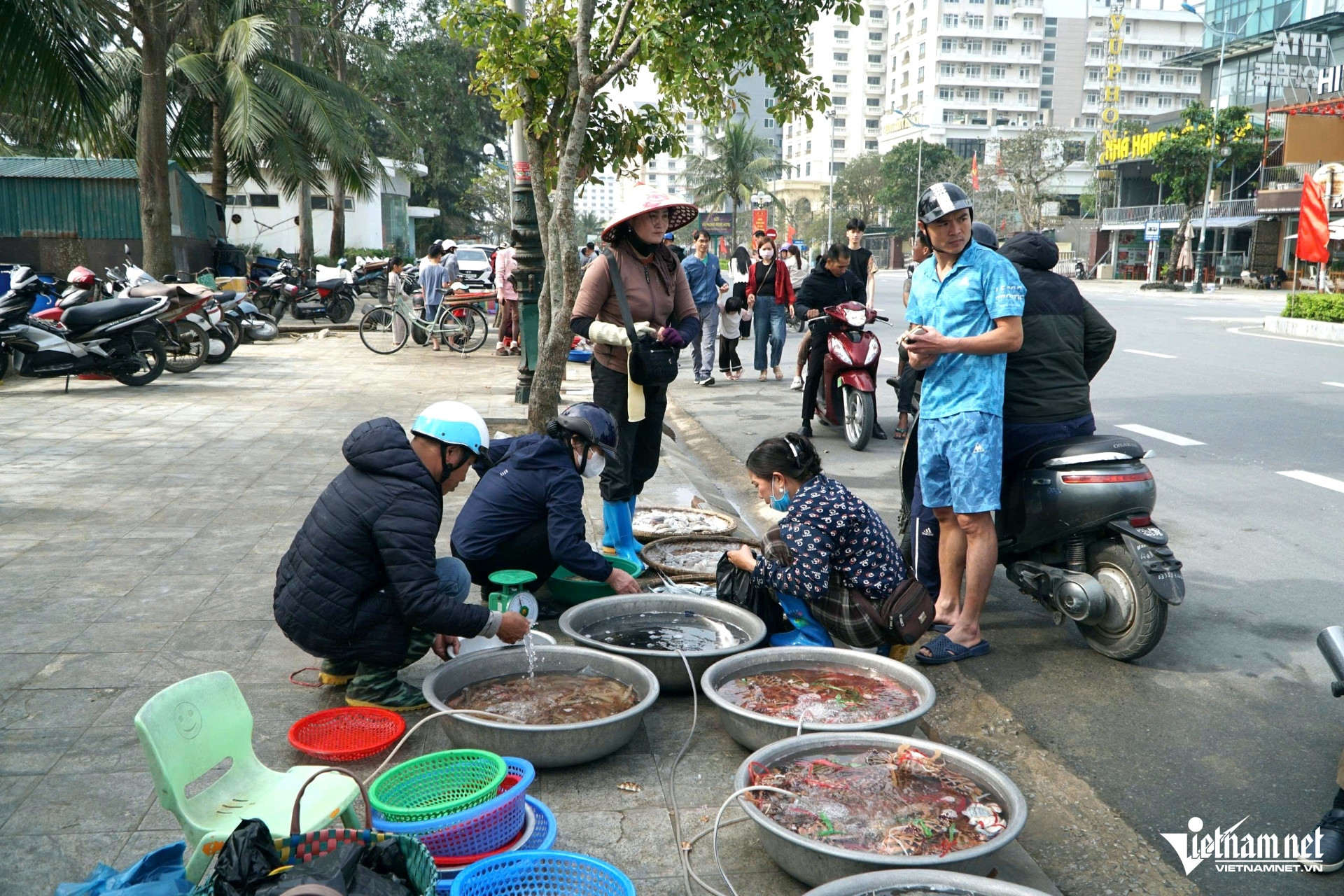 W-a5Cá khoai khan hiếm.jpg