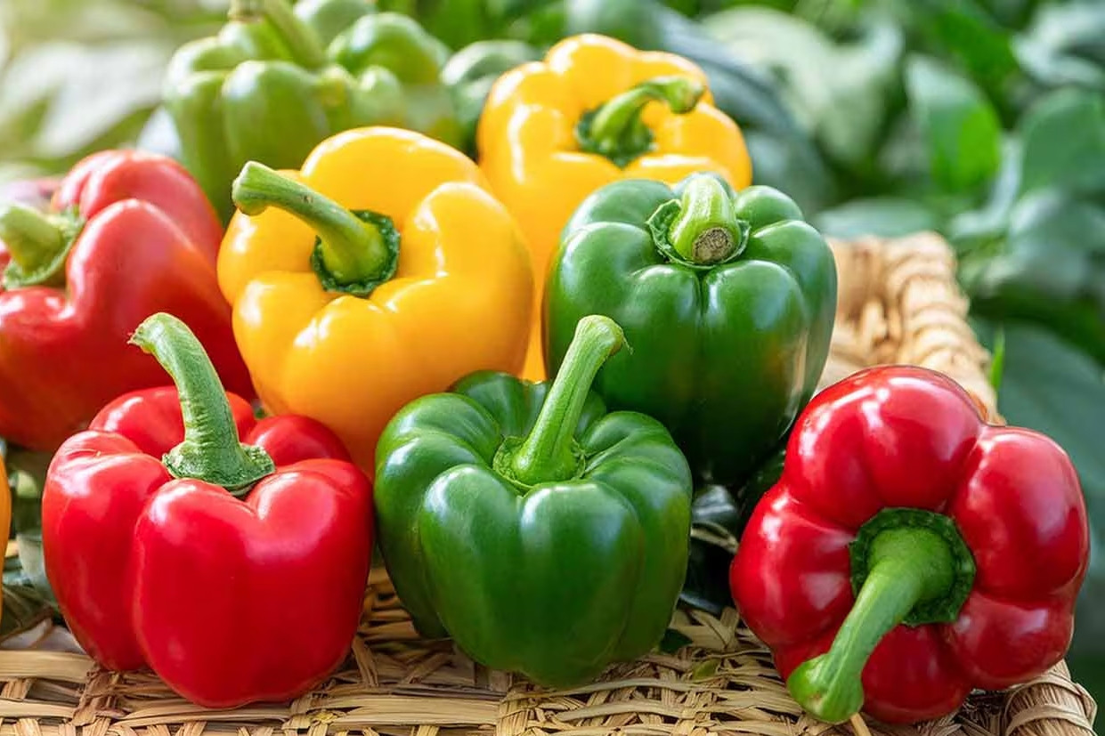  8 loại rau củ giúp bạn bổ sung vitamin C hiệu quả 