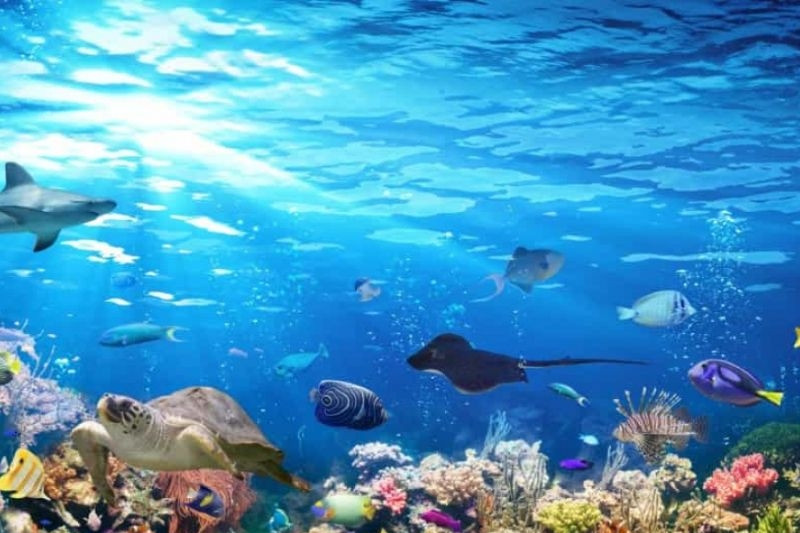 Đề xuất giải pháp phát huy vai trò của ASEAN ở Biển Đông