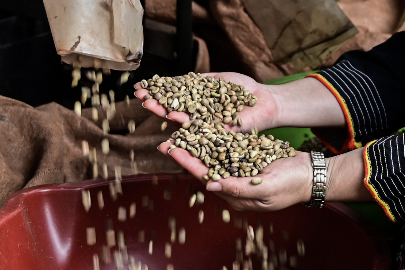  Một loại hạt giúp Việt Nam thắng đậm trên thế giới, mang về gần 9 tỷ USD 