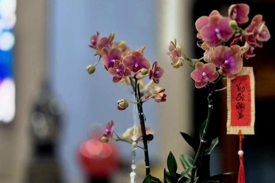 Sau Tết, điều còn đọng lại là gì?