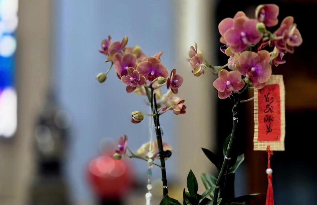 Tết đơn giản 2.jpg