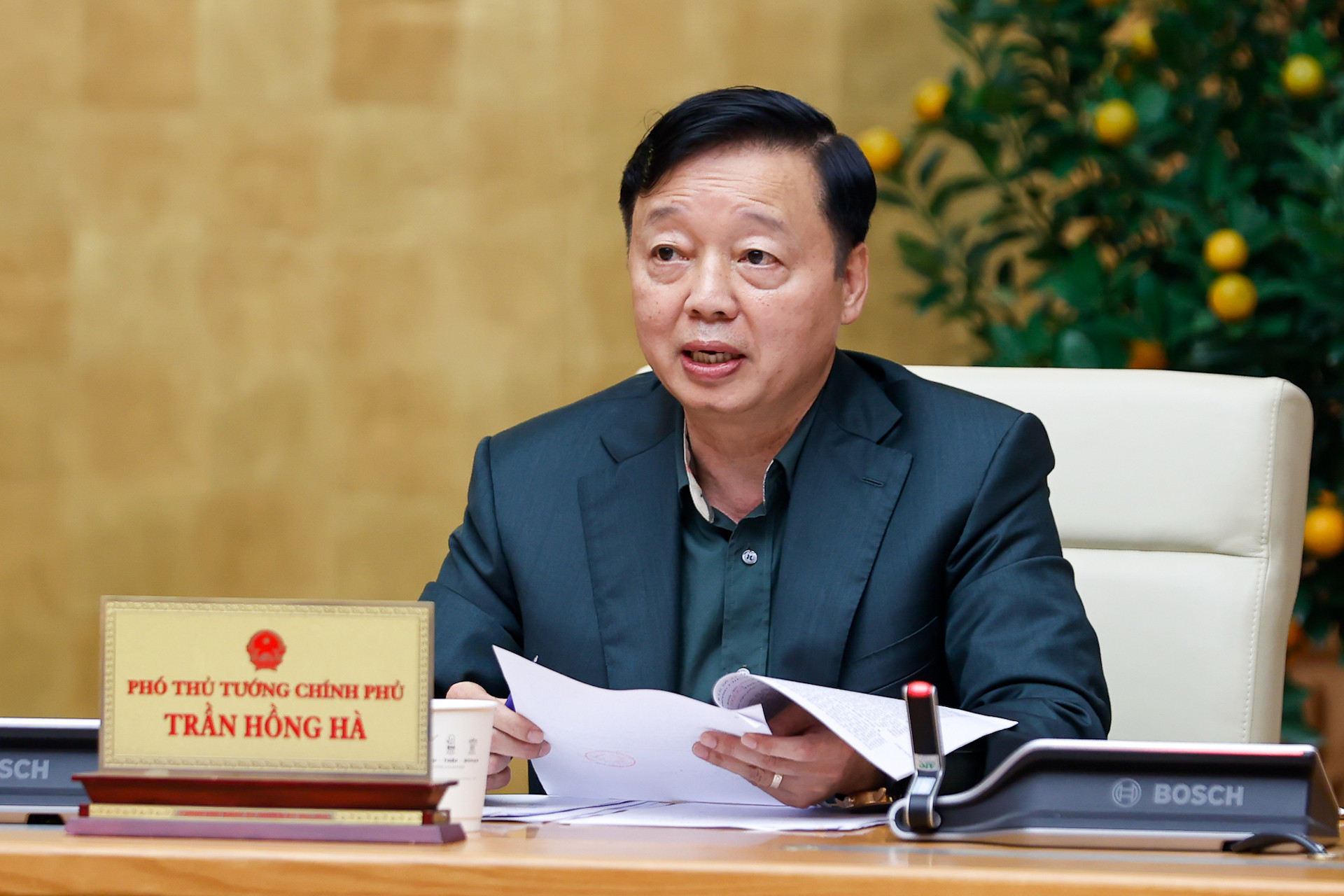 trần hồng hà.jpeg