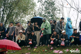 W-a2Phiên chợ ném cà chua.jpg