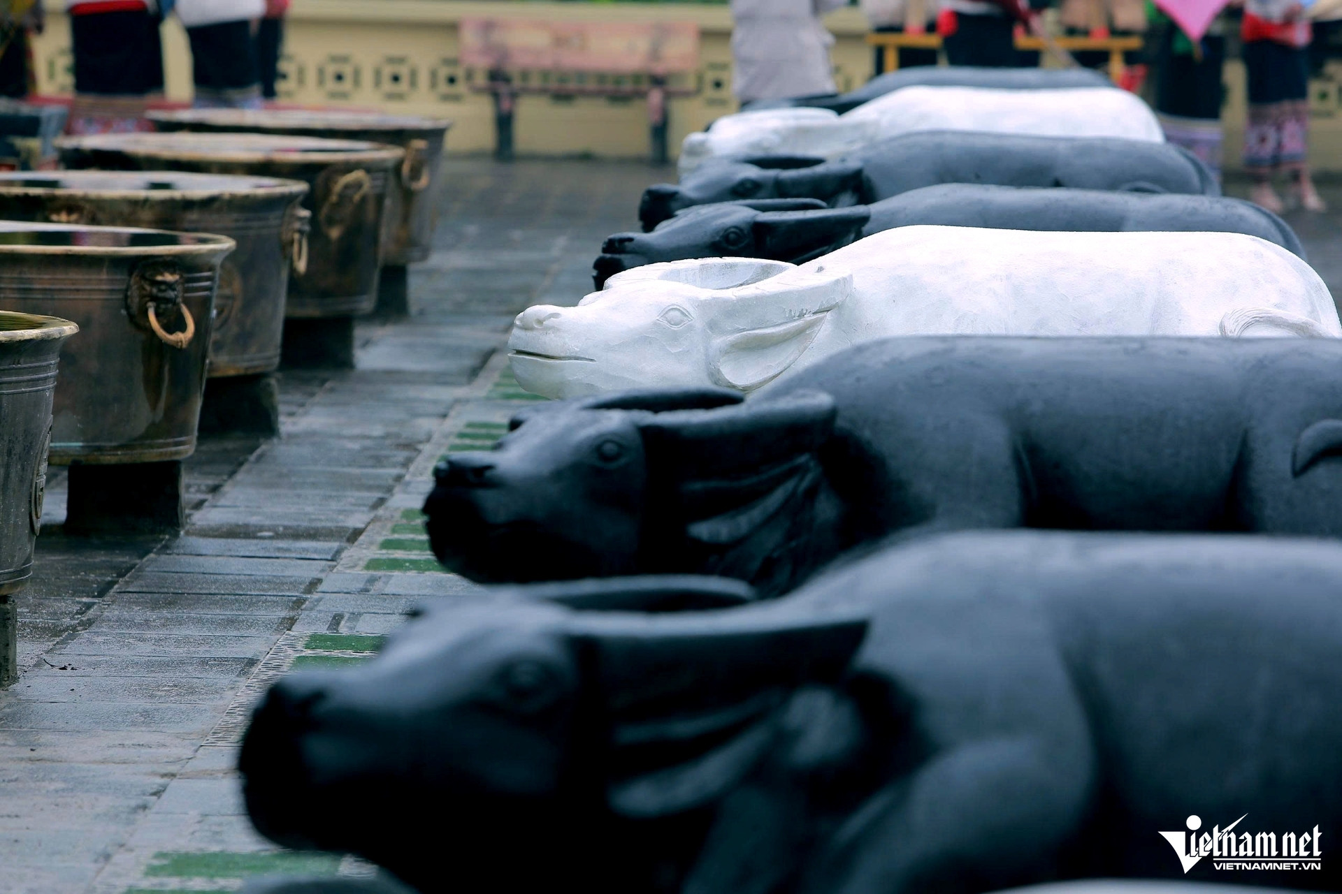 W-a4Không gian huyền ảo.jpg