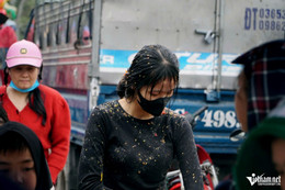 W-a4Phiên chợ ném cà chua.jpg