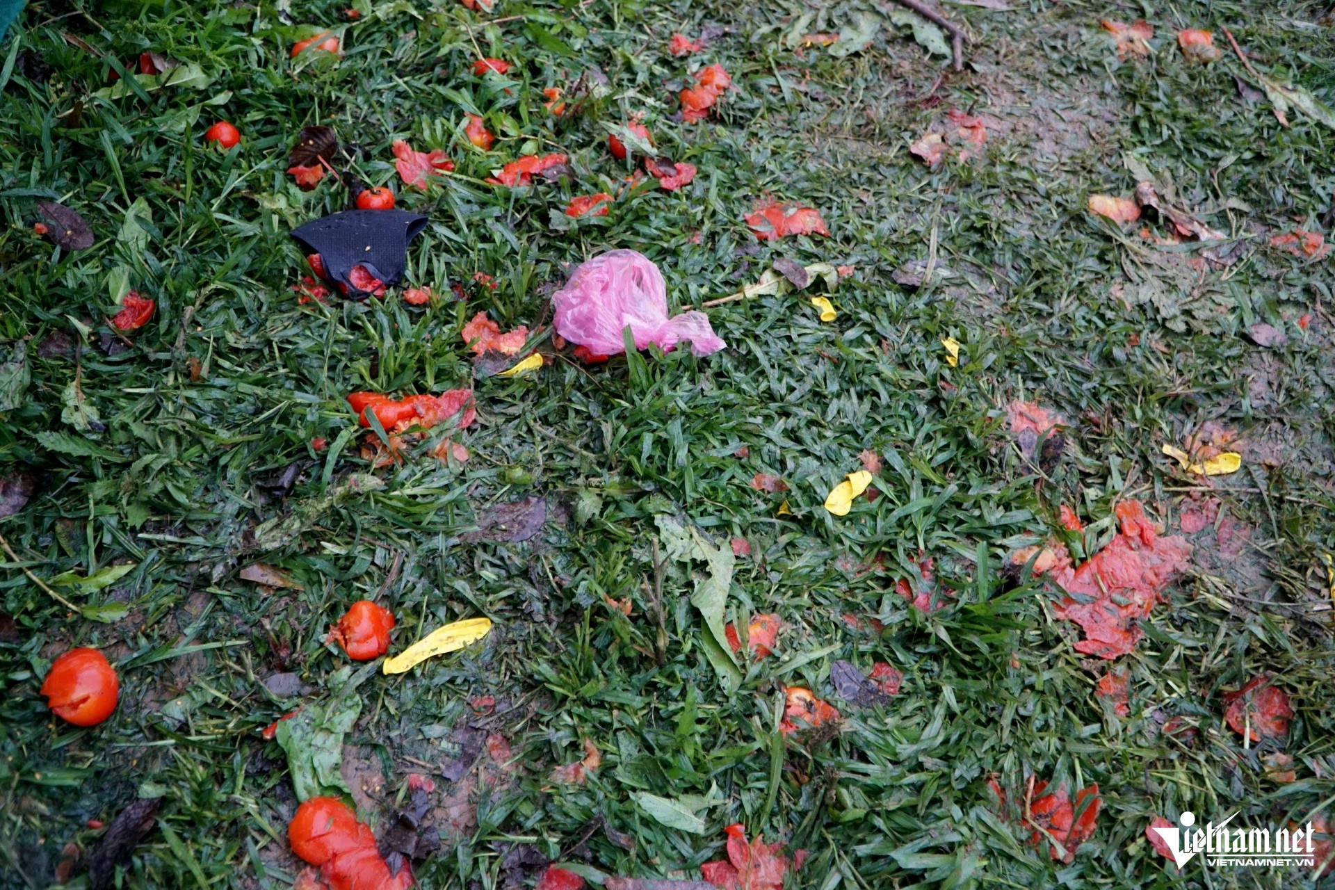 W-a8Phiên chợ ném cà chua.jpg