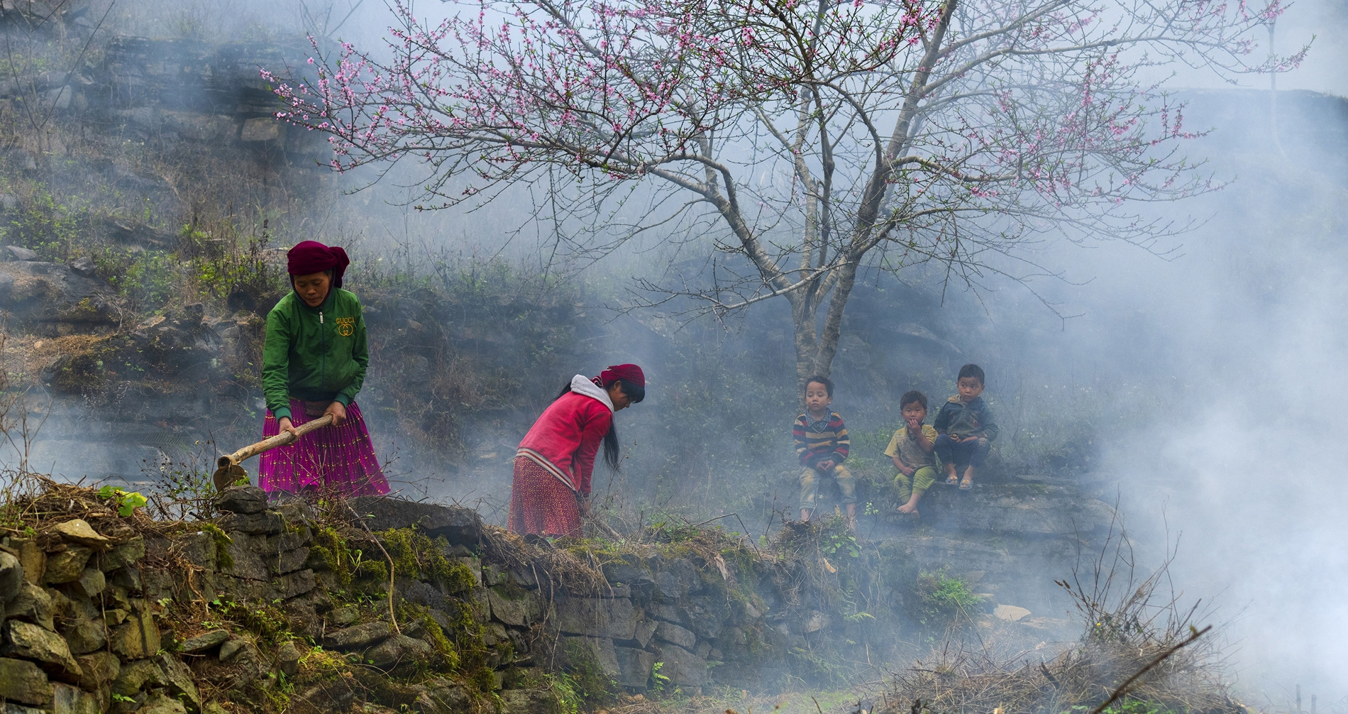Xuân về vá rào đá