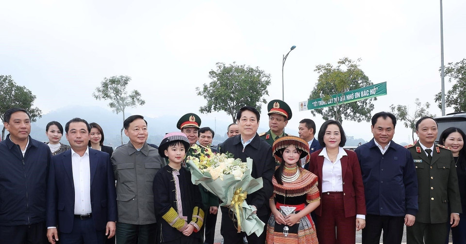 Chủ tịch nước kêu gọi đưa phong trào trồng cây đi vào chiều sâu, thực chất