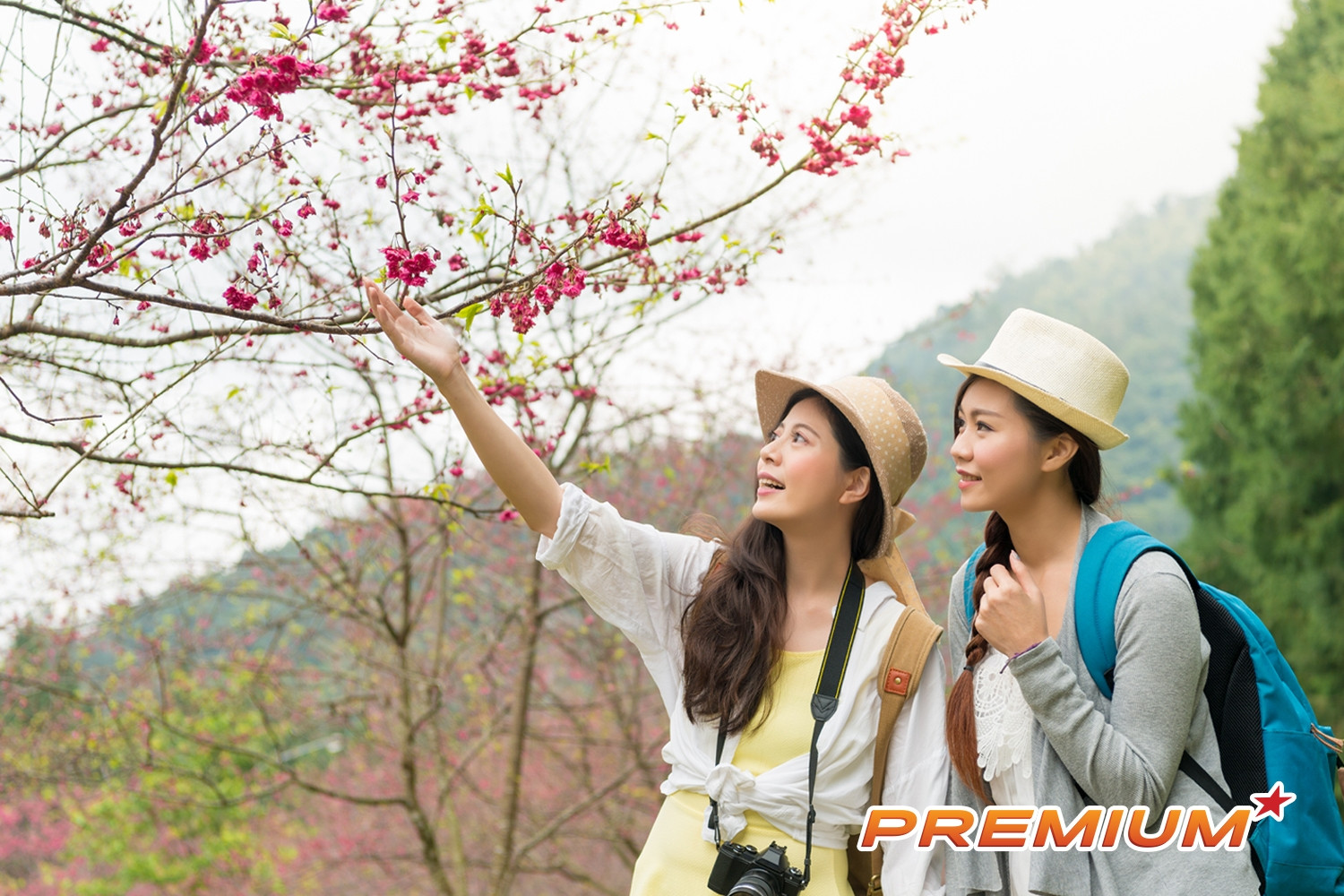 Du lịch dịp Tết Bính Ngọ khởi sắc toàn diện, cả nước đón 14 triệu lượt khách