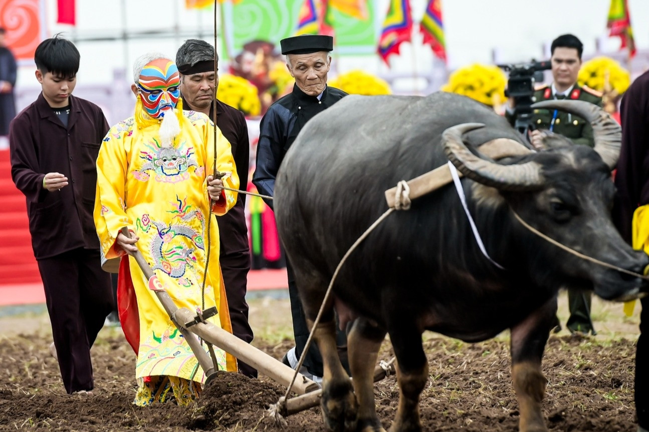 Lão nông 76 tuổi ở Ninh Bình 7 năm liền hóa thân thành vua xuống ruộng đi cày
