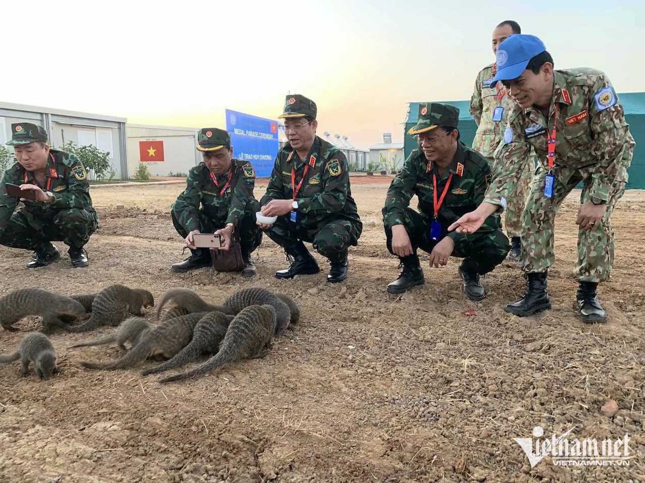 W-db82ae41 d75e 4e0d 910d 3603384adfc2.jpeg