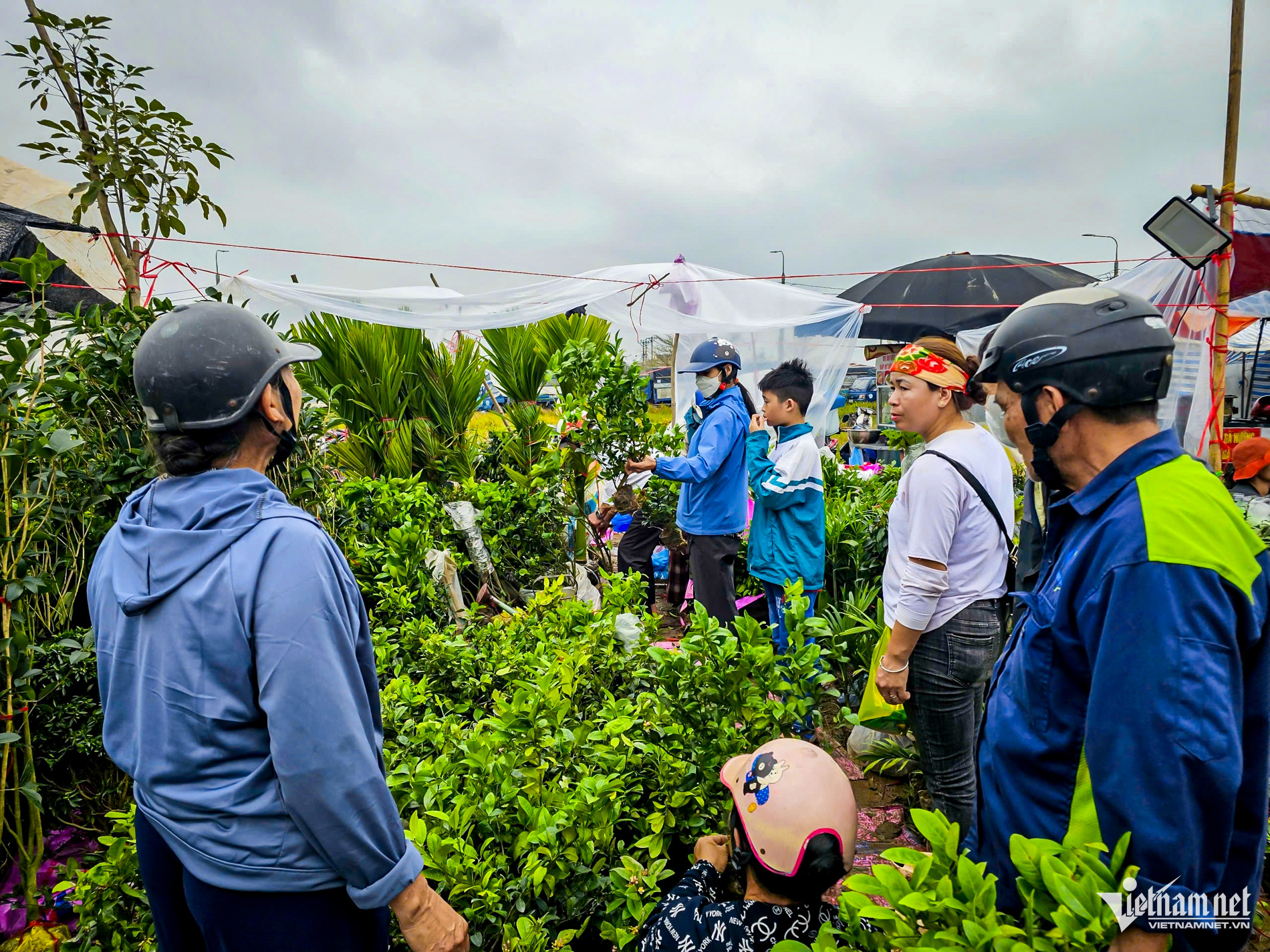 W-okkk Viềng_6.jpg