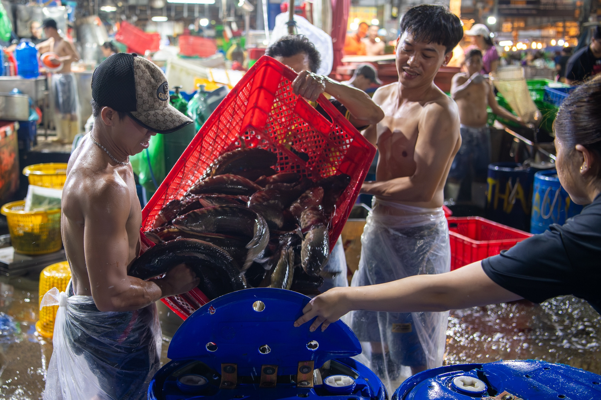 Cá lóc ngập chợ Bình Điền lúc nửa đêm, tiểu thương tất bật trước ngày vía Thần Tài