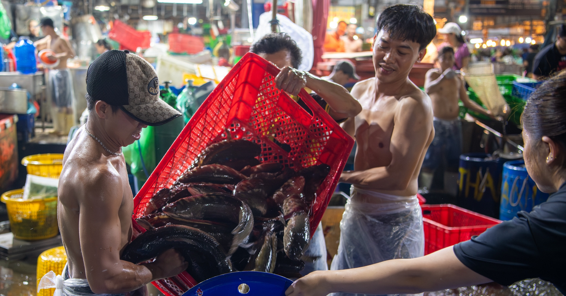 Chợ Bình Điền Nhộn Nhịp Đêm Cúng Vía Thần Tài Với Hàng Chục Tấn Cá Lóc Miền Tây