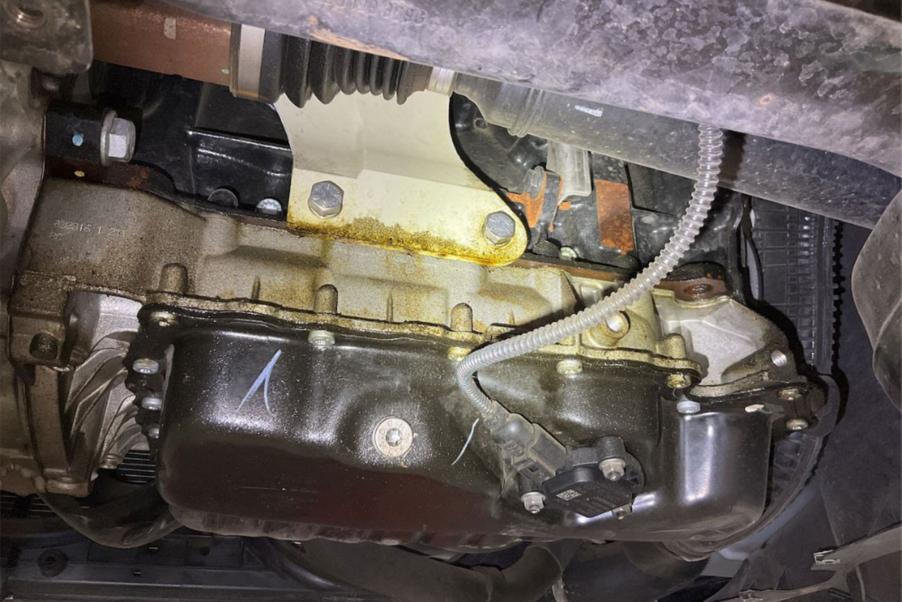 cac te dau hop so.jpg