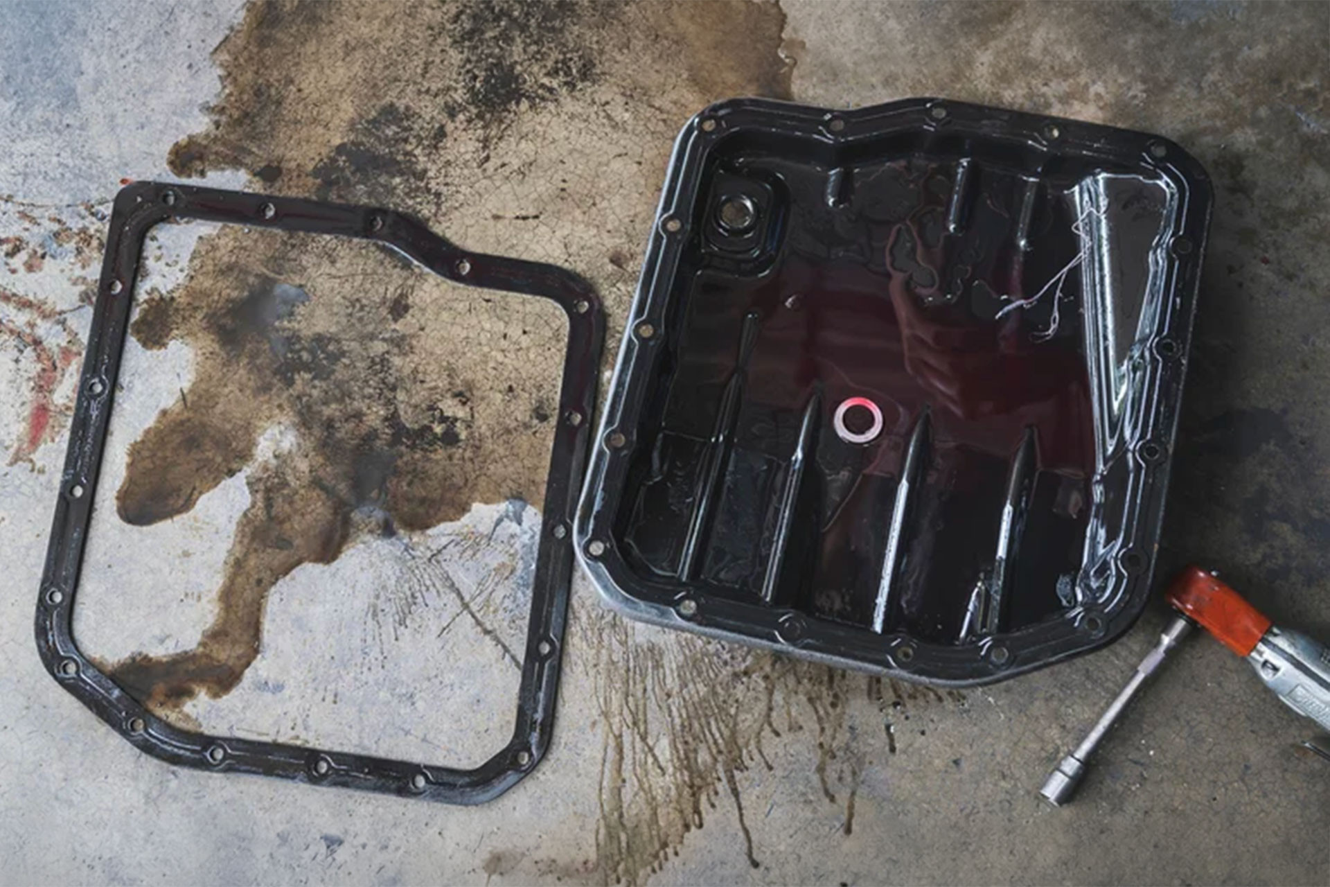 gioang day cac te dau.jpg