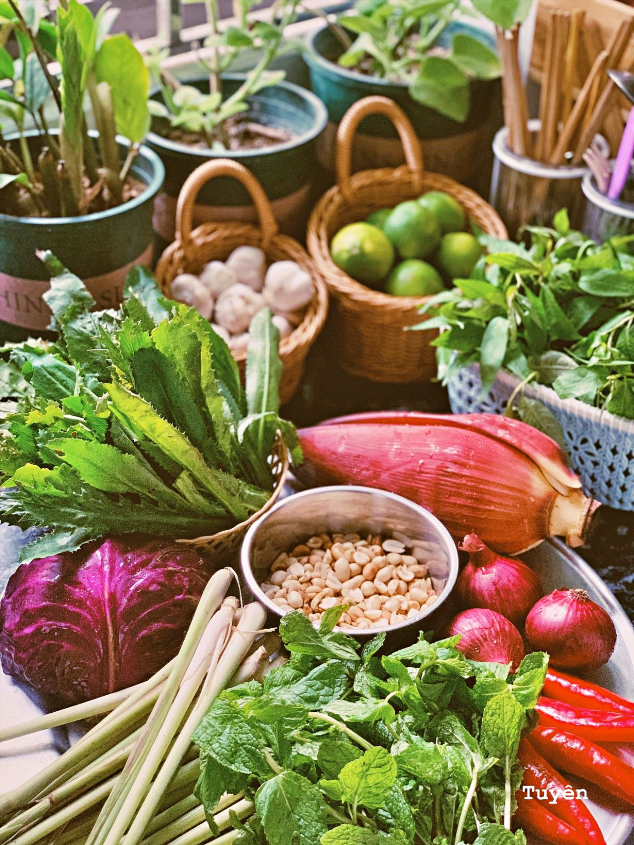 nom-hoa- chuoi-1.jpg