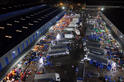 Tiểu thương chợ cá lóc lớn nhất TPHCM 'quên ăn quên ngủ' trước ngày vía Thần Tài