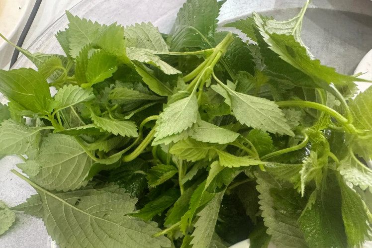 Top Cac Loai Gia Vi Giup Co Quan Tieu Hoa Khoe Manh Sau Tet 2068