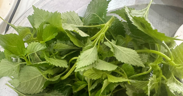 Top các loại gia vị giúp cơ quan tiêu hóa khỏe mạnh sau Tết