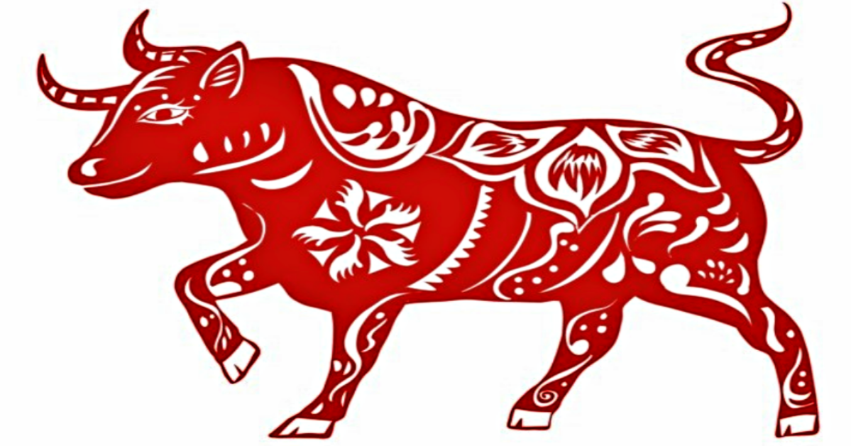 Tử vi tuổi Sửu năm 2026 chi tiết từng tháng và cách đơn giản hoá giải vận hạn