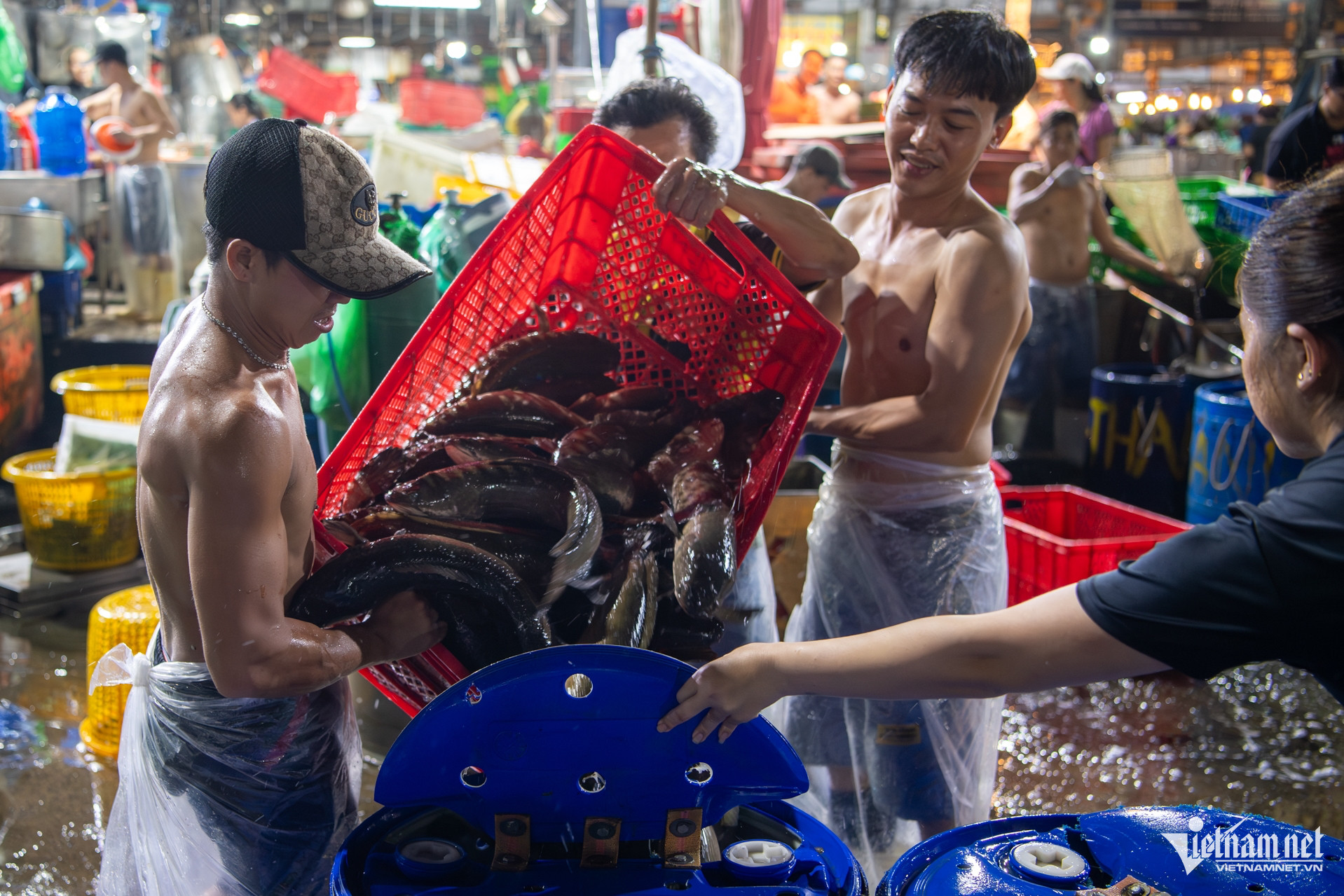 W-Cá lóc chuẩn bị vía thần tài (chợ Bình Điền) Tuấn Hùng 58.jpg