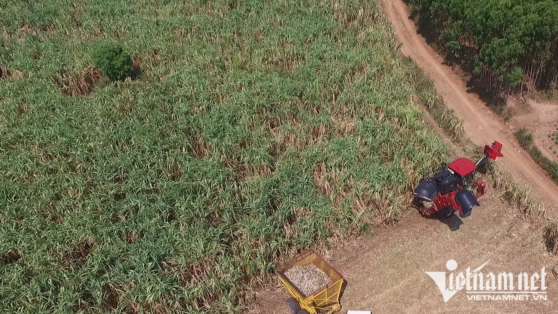 W-chuyen doi QNS 1.jpg