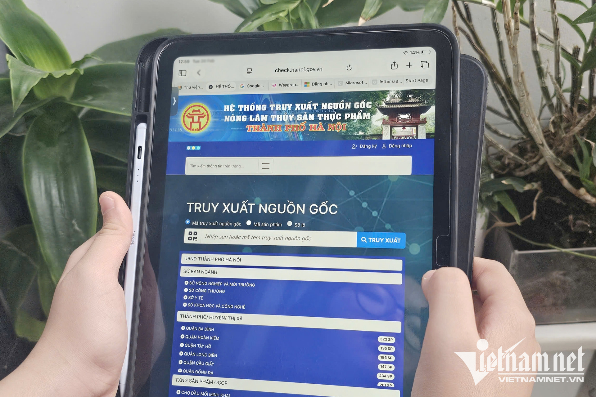 W-truy xuat nguon goc nong san.jpg