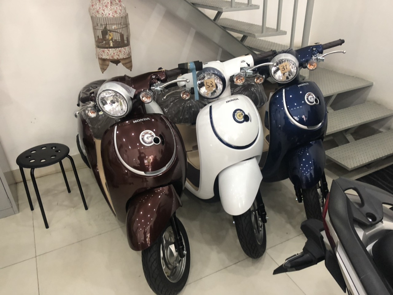 xe ga 50cc giorno 1.jpg